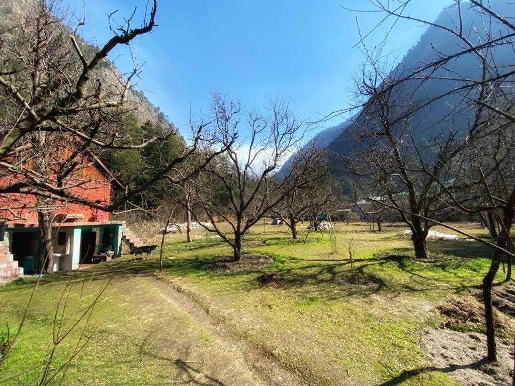 The Royal Orchard Kasol Otel Dış mekan fotoğraf