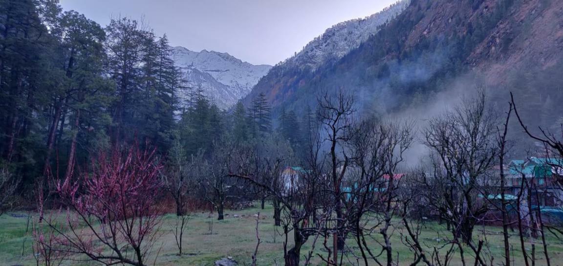 The Royal Orchard Kasol Otel Dış mekan fotoğraf