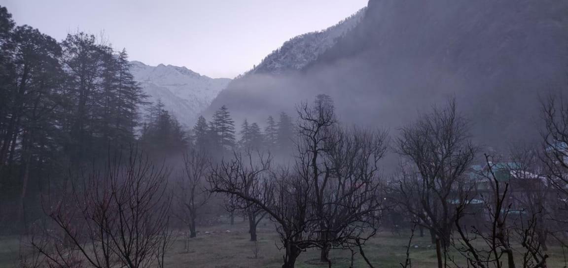 The Royal Orchard Kasol Otel Dış mekan fotoğraf