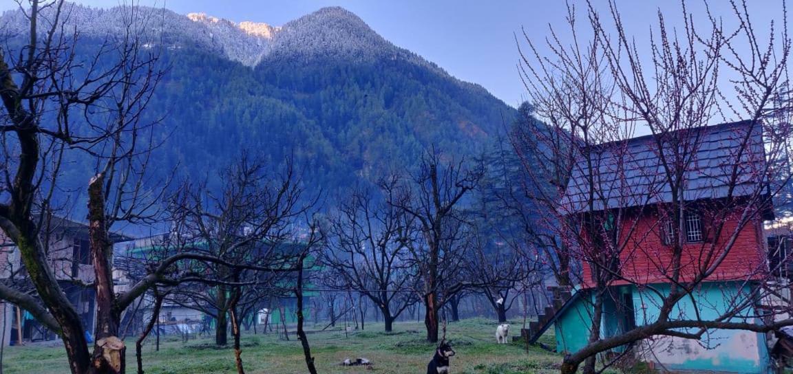 The Royal Orchard Kasol Otel Dış mekan fotoğraf